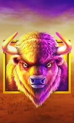Buffalo King